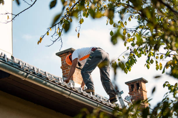 Best Storm Damage Roof Repair  in Leander, TX