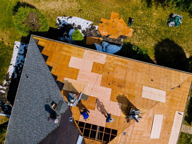 Best Local Roofing Companies  in Leander, TX