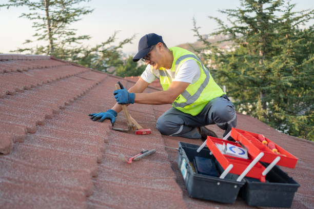 Best Roof Gutter Cleaning  in Leander, TX